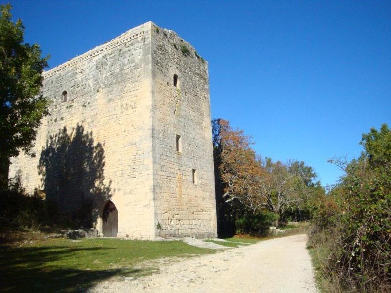 Gite Hanna En Luberon - Le Boisset De St Martin De Castillon Saint-Martin-de-Castillon Экстерьер фото